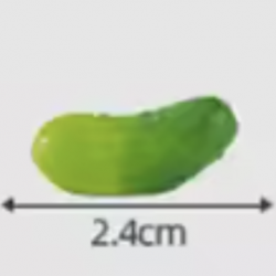 Mini Cucumber